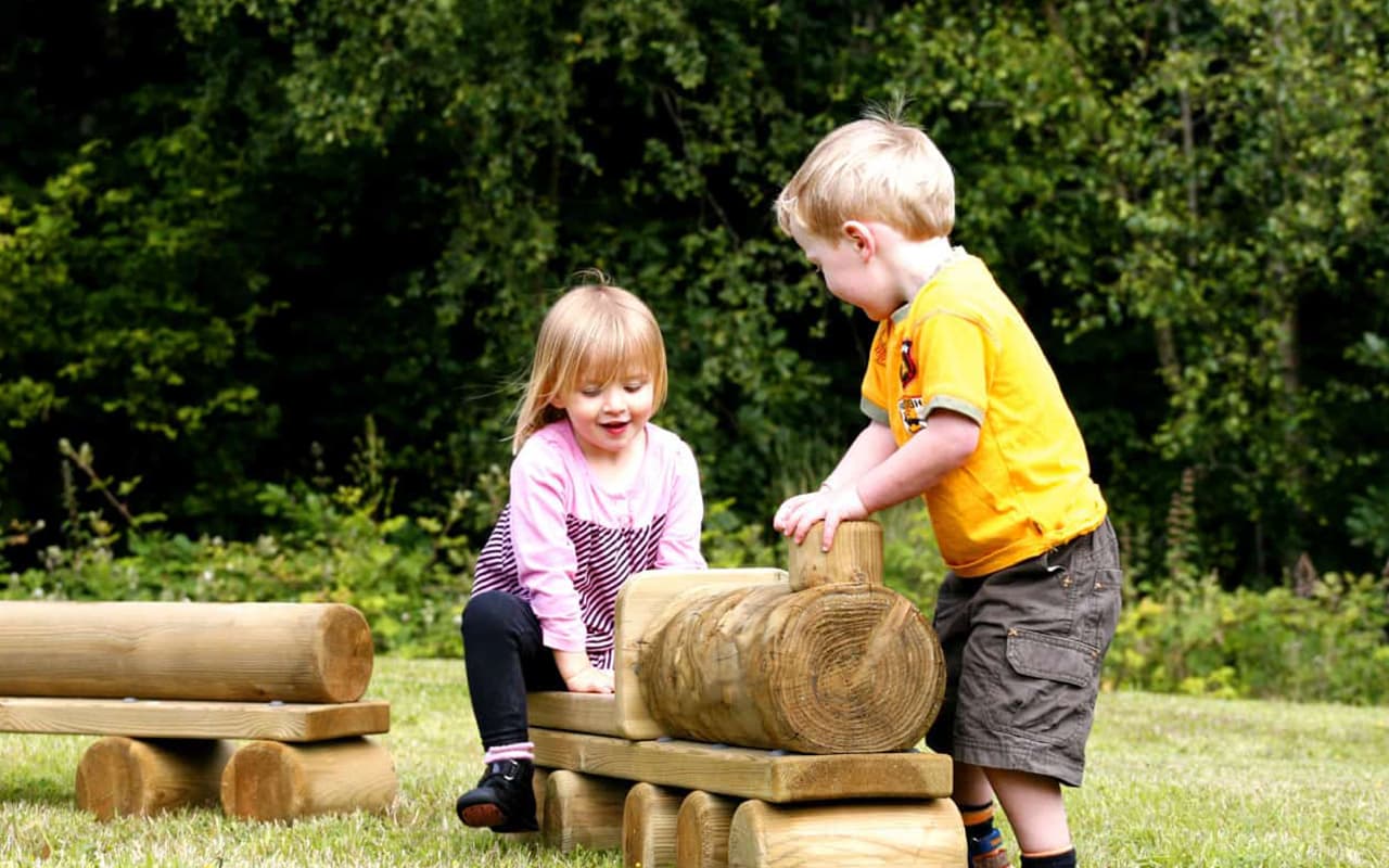 LOG TRAIN - Immagine 3