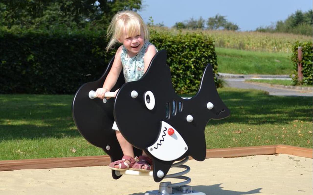SHARK - Immagine 5
