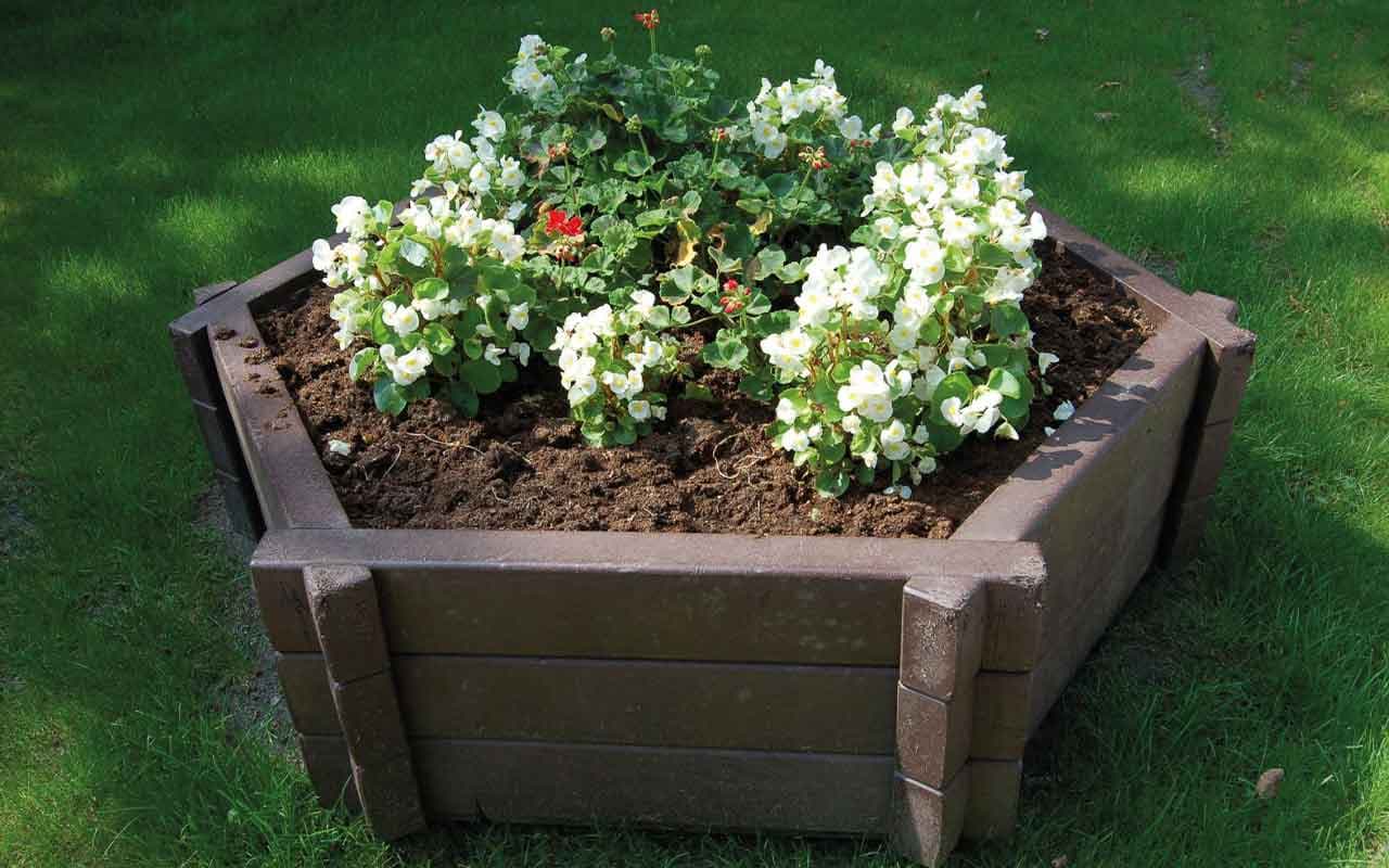 VINCA - Immagine 5