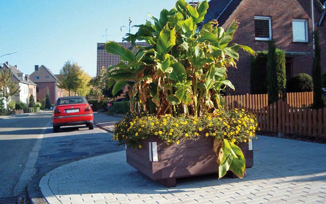 IBERIS PLANTER - Immagine 3
