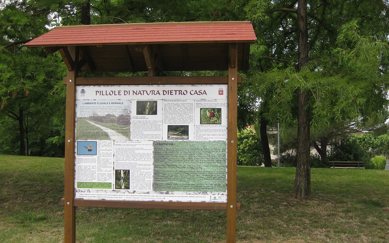 PENIA - Immagine 7