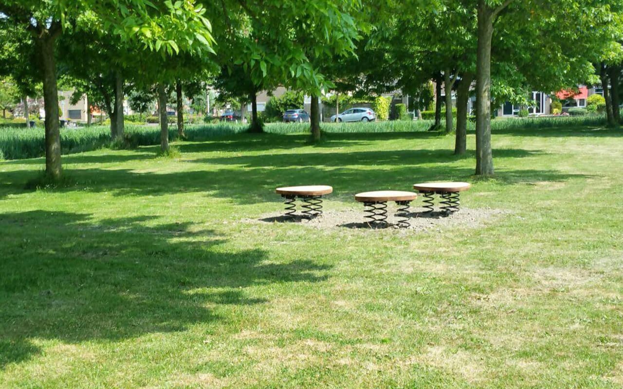 SPINGER PLATE - Immagine 4