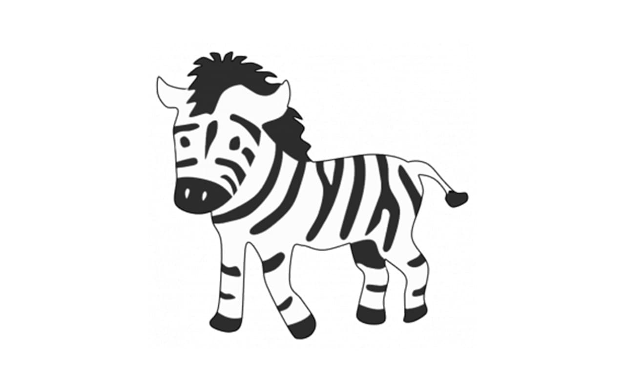 zebra