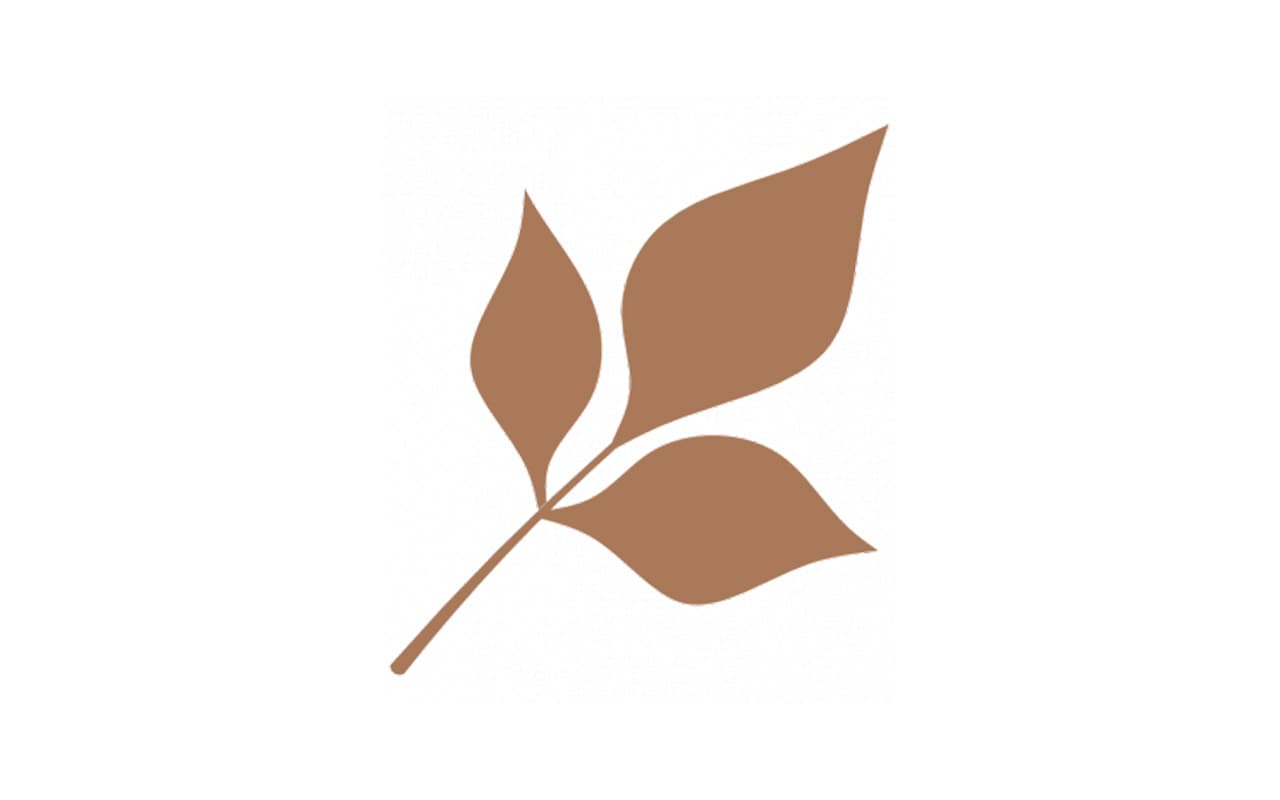 foglia-4