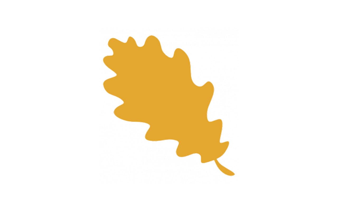 foglia-5