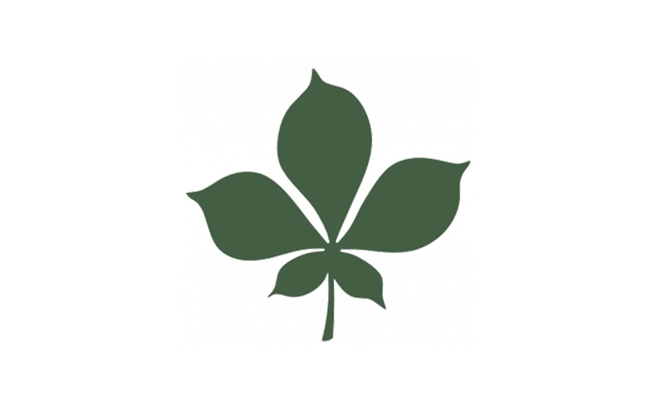 foglia-7