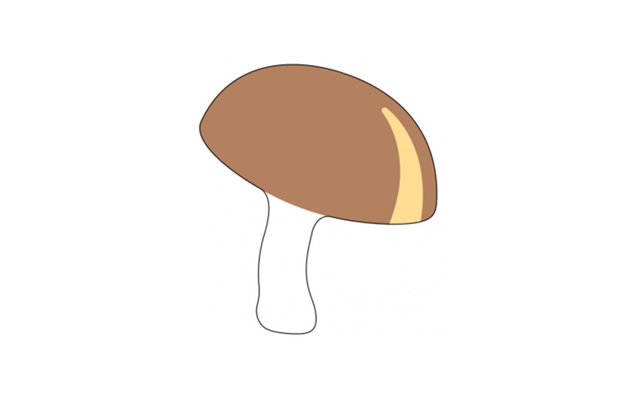 fungo