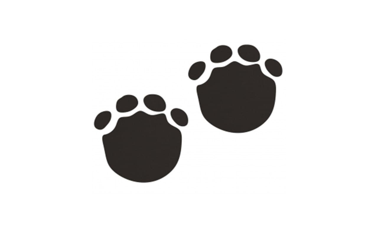orme-orso