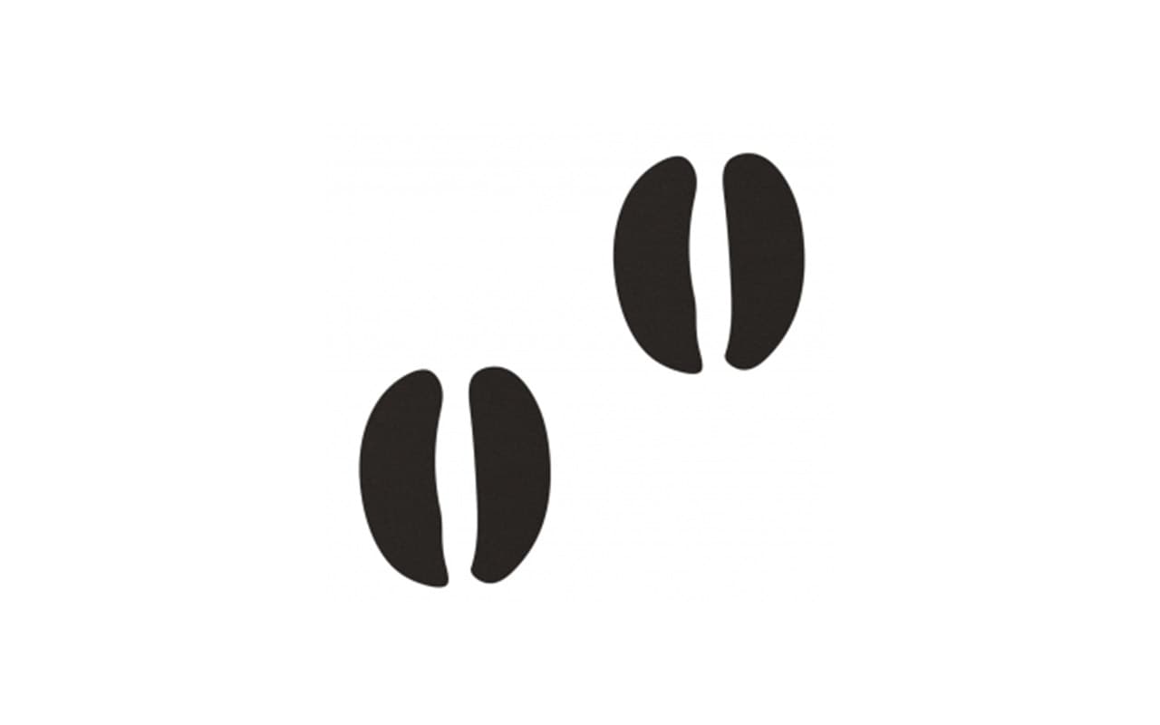 orme-mucca