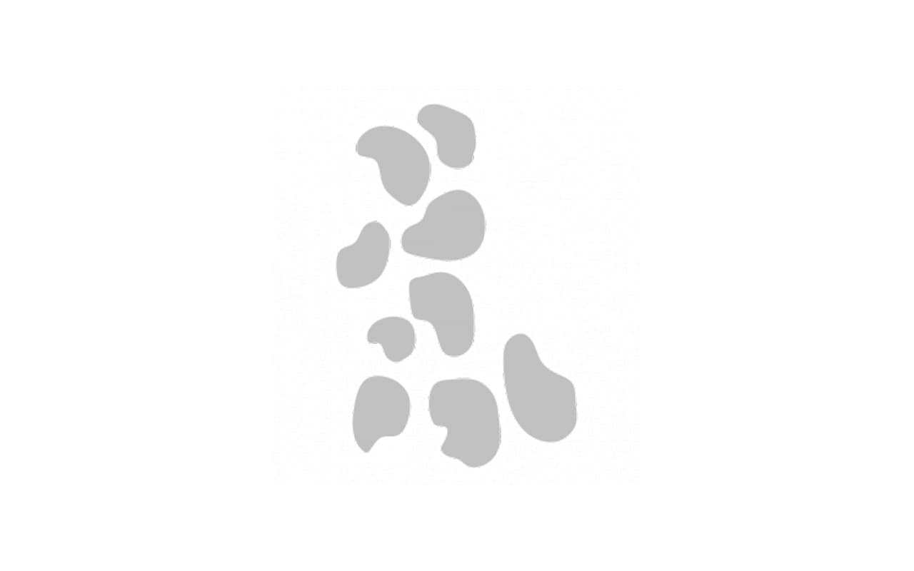 sassi