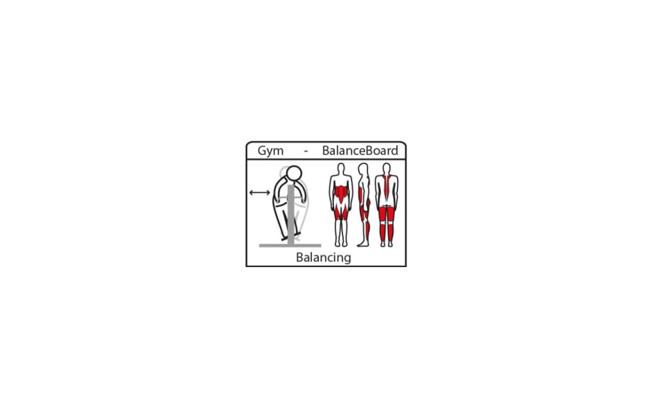 BALANCE BOARD - Immagine 8
