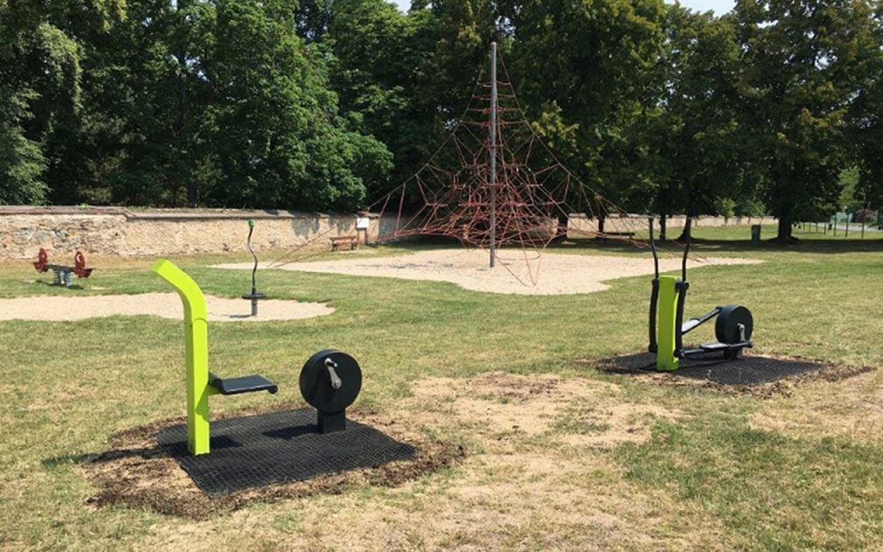 BIKE FIT SENIOR - Immagine 2