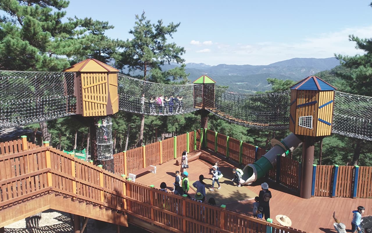 SKY WALK 1 - Immagine 6