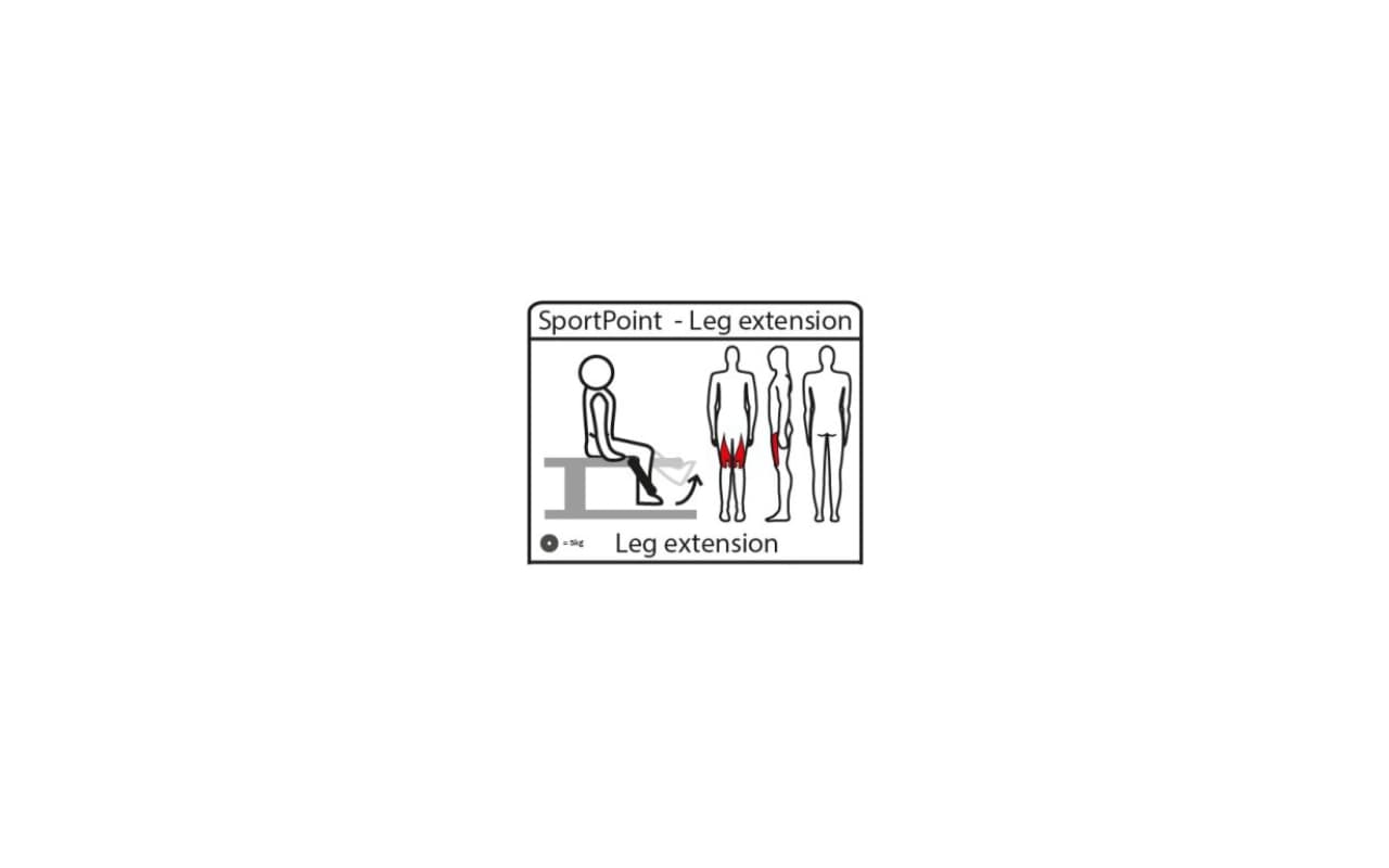 Leg extension - Immagine 8