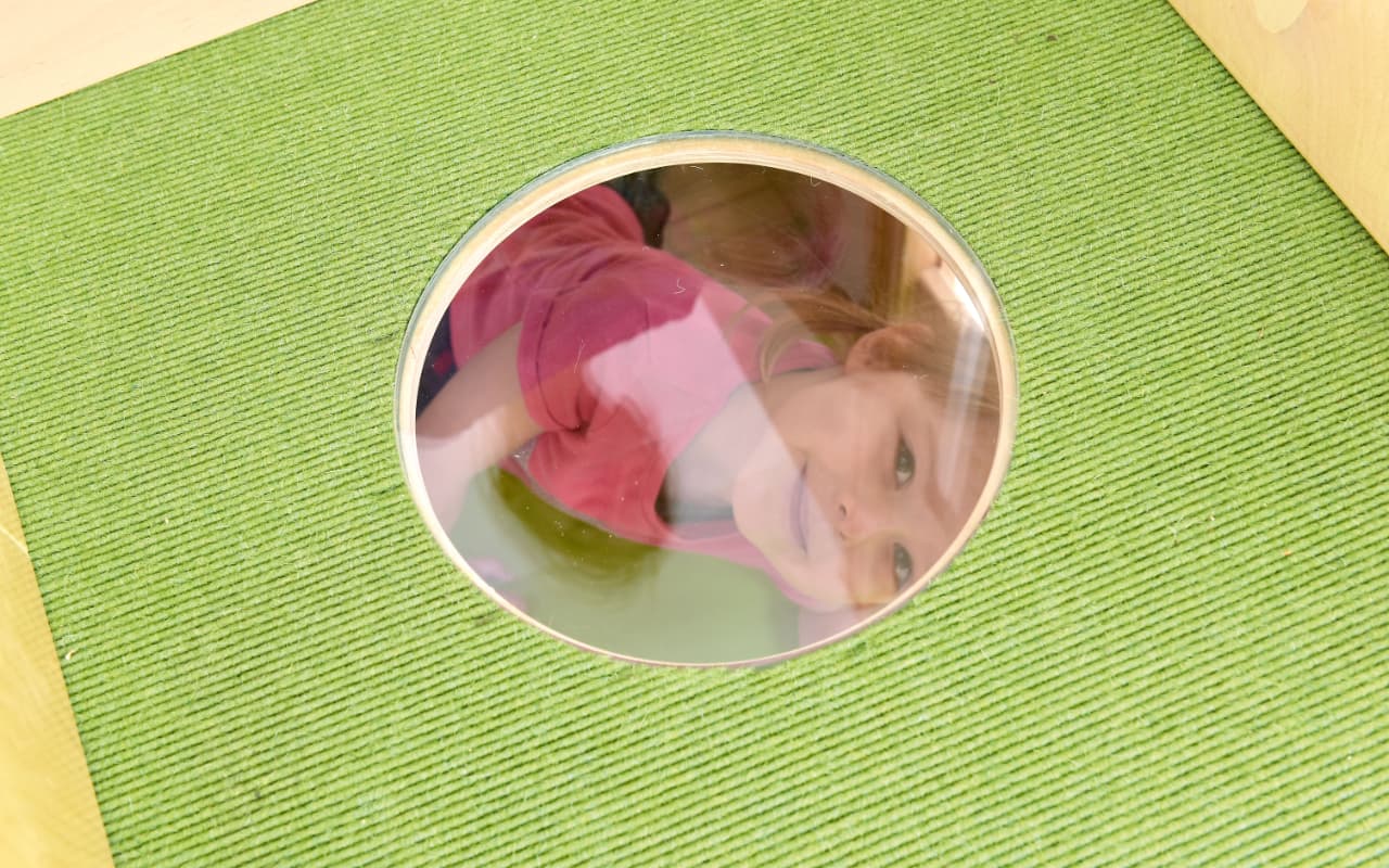 Leo mini - Immagine 11