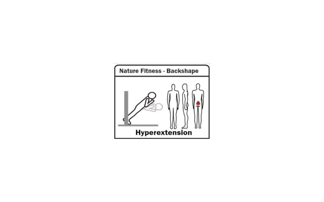 backshape - Immagine 3