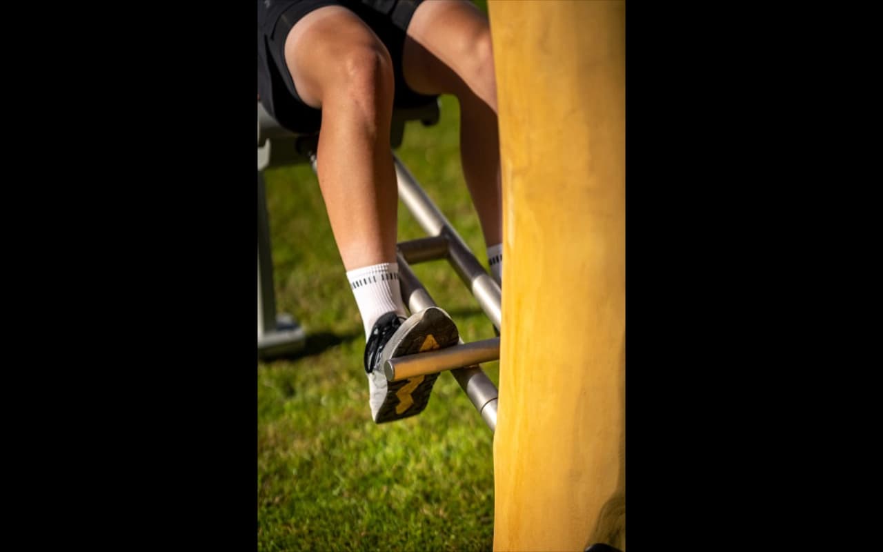 legpush - Immagine 6