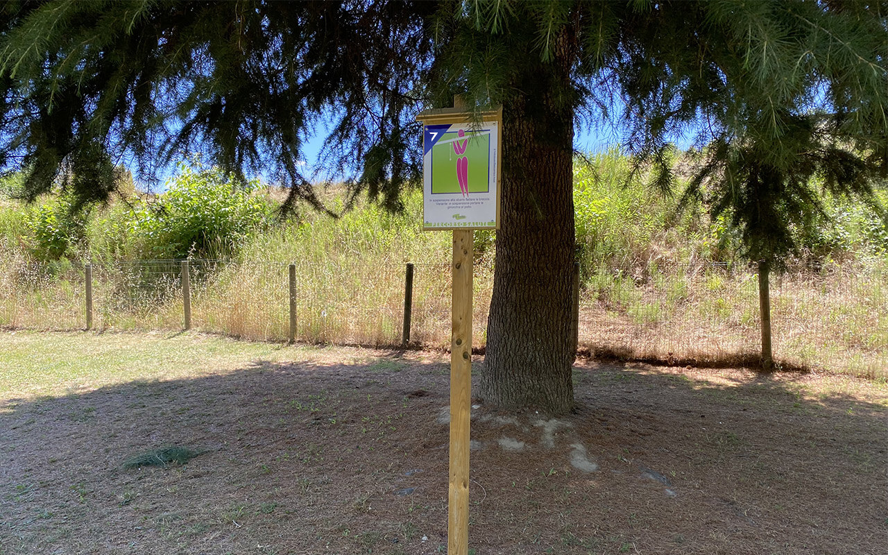 N.7 SUSPENSIONEN - Lebensweg - Lebensweg