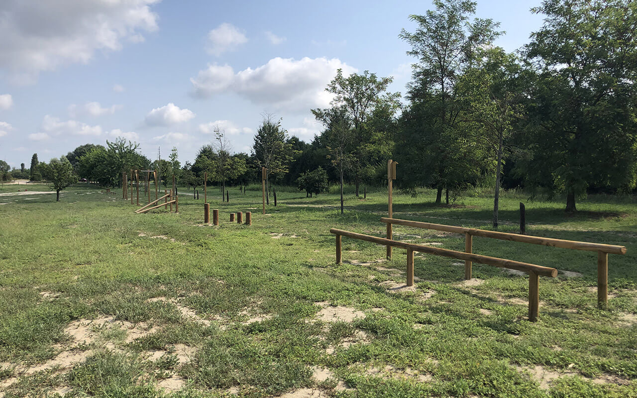 N.10 SPRINGEN DX SX - Lebensweg - Lebensweg