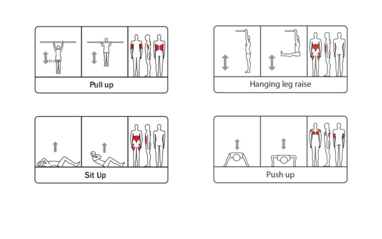 WALL - 3 PULL UP BARS - BENCH - PUSH UP - Calisthenics - Calisthenics