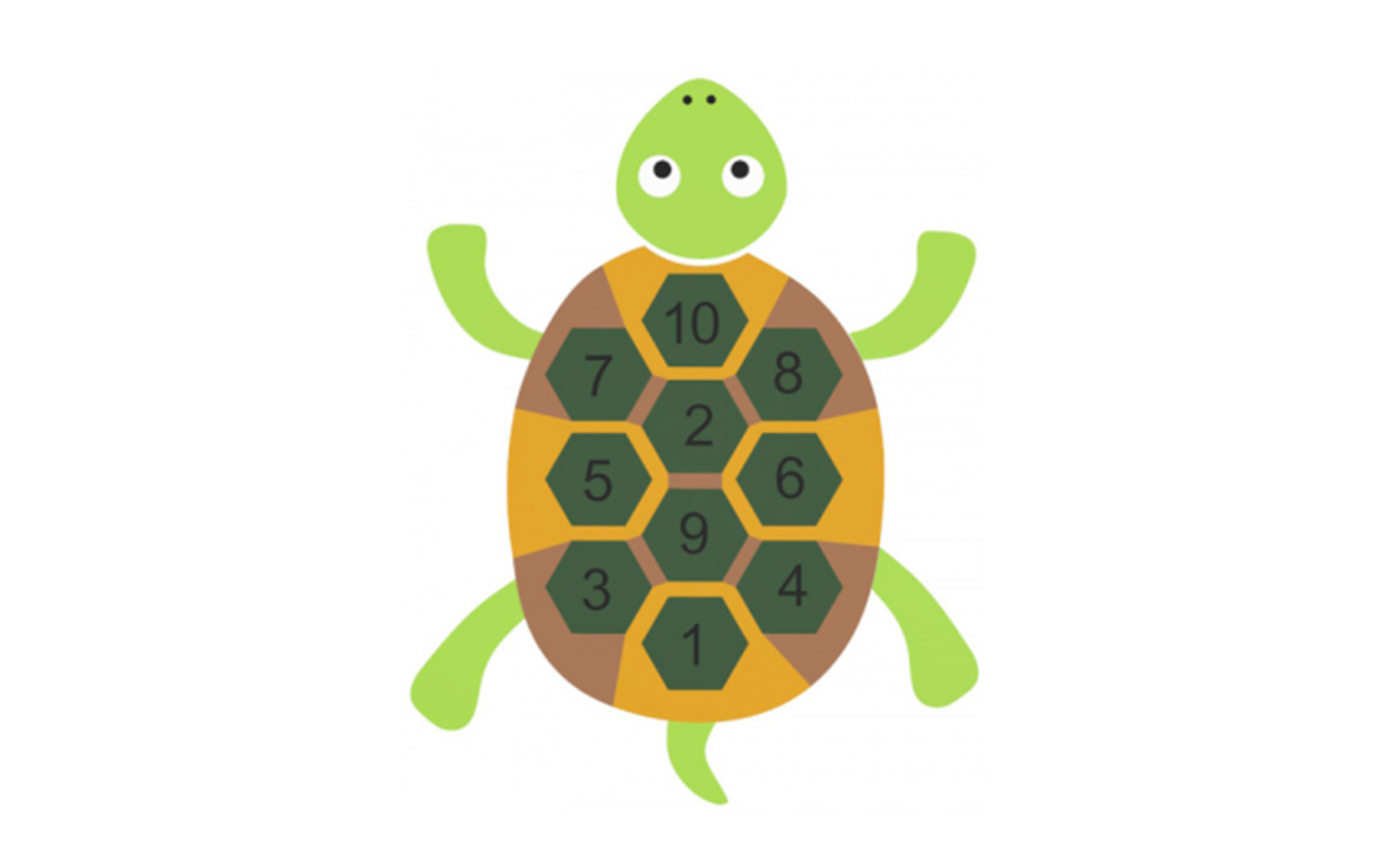 TARTARUGA 2D - TARTARUGA 2D - Attività - Attività