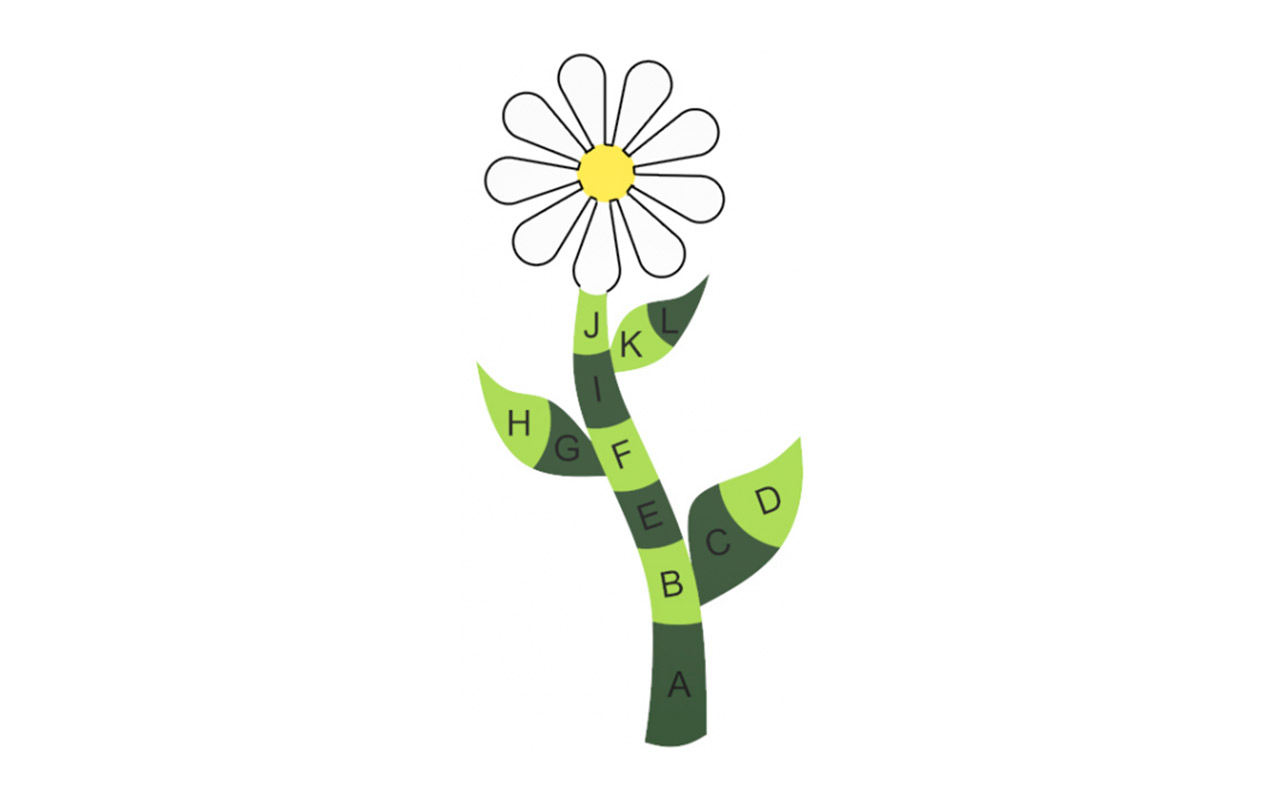 FIORE 2D - FIORE 2D - Attività - Attività