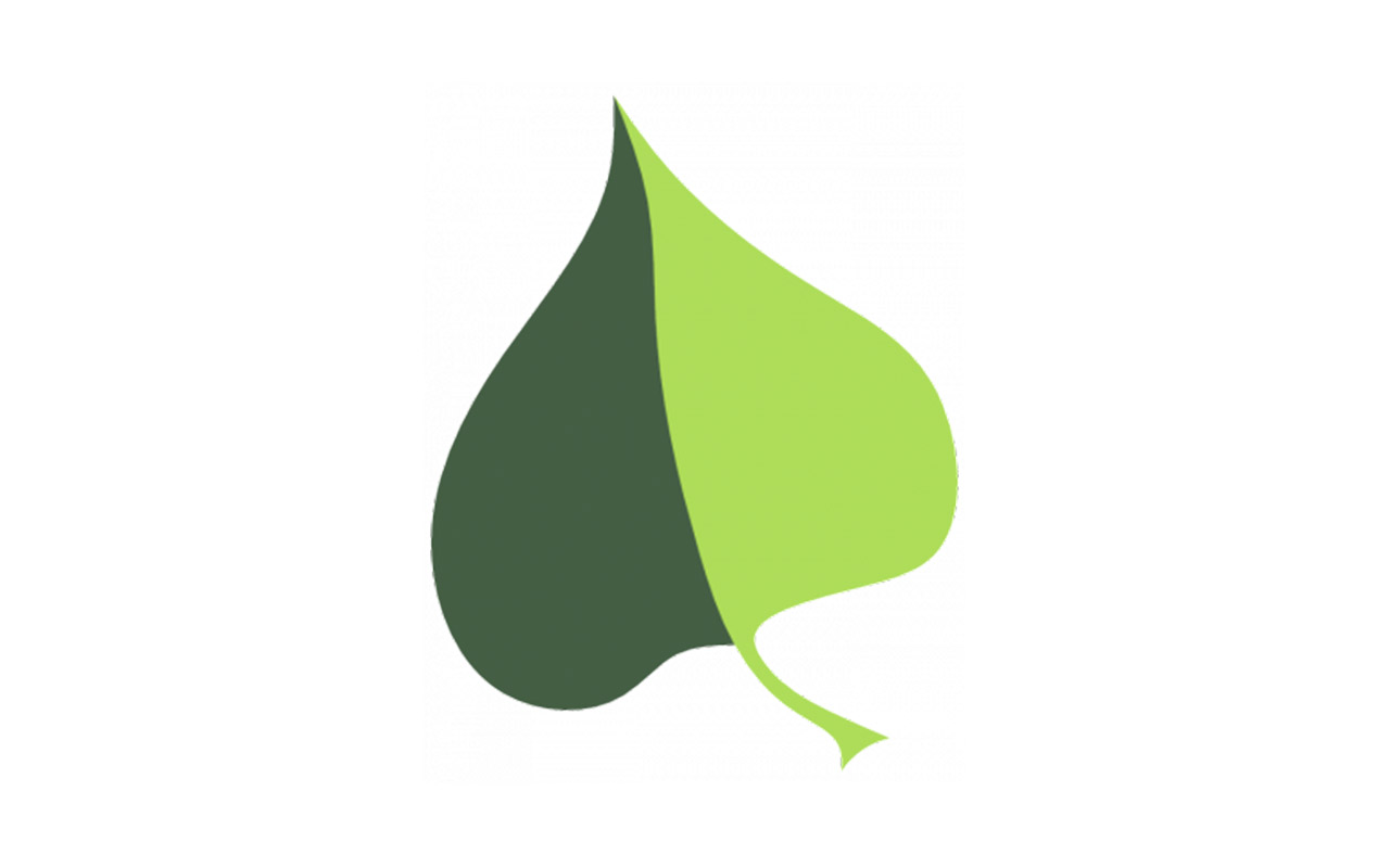 TILIA LEAF - Plants