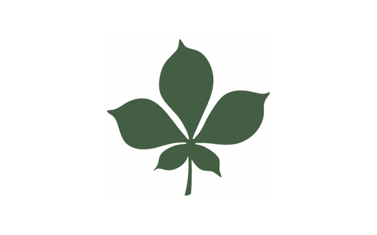 CHESTNUT LEAF - Plants