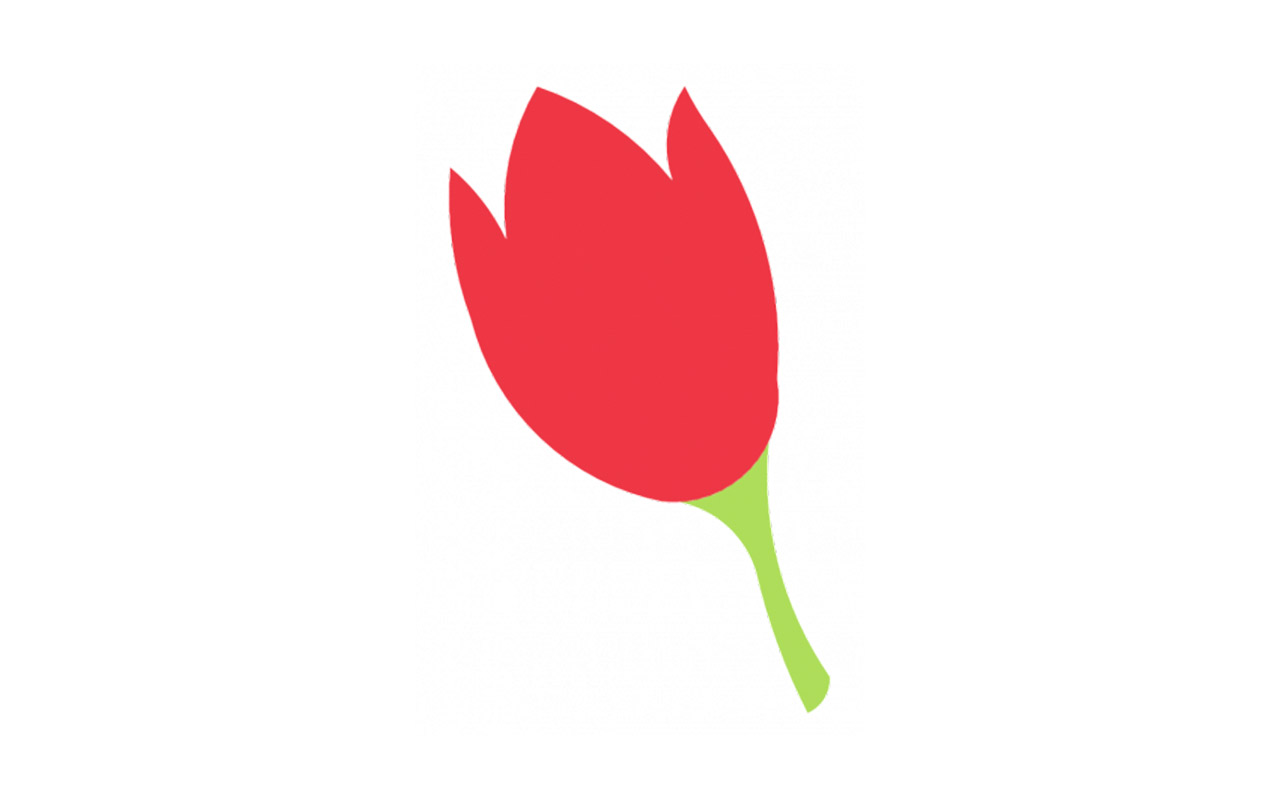 TULIPANO 2D - Piante
