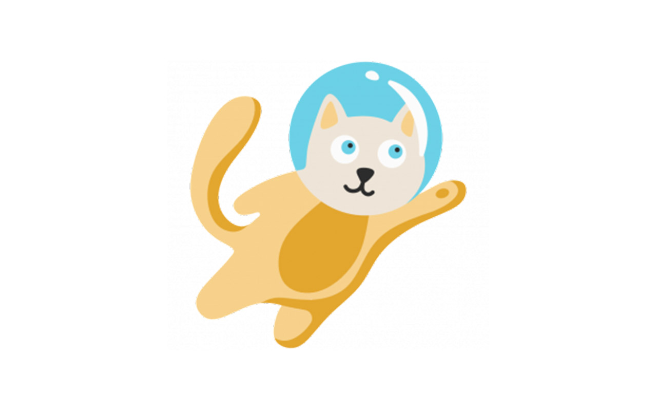 SPACE CAT 2D - Space and Weather