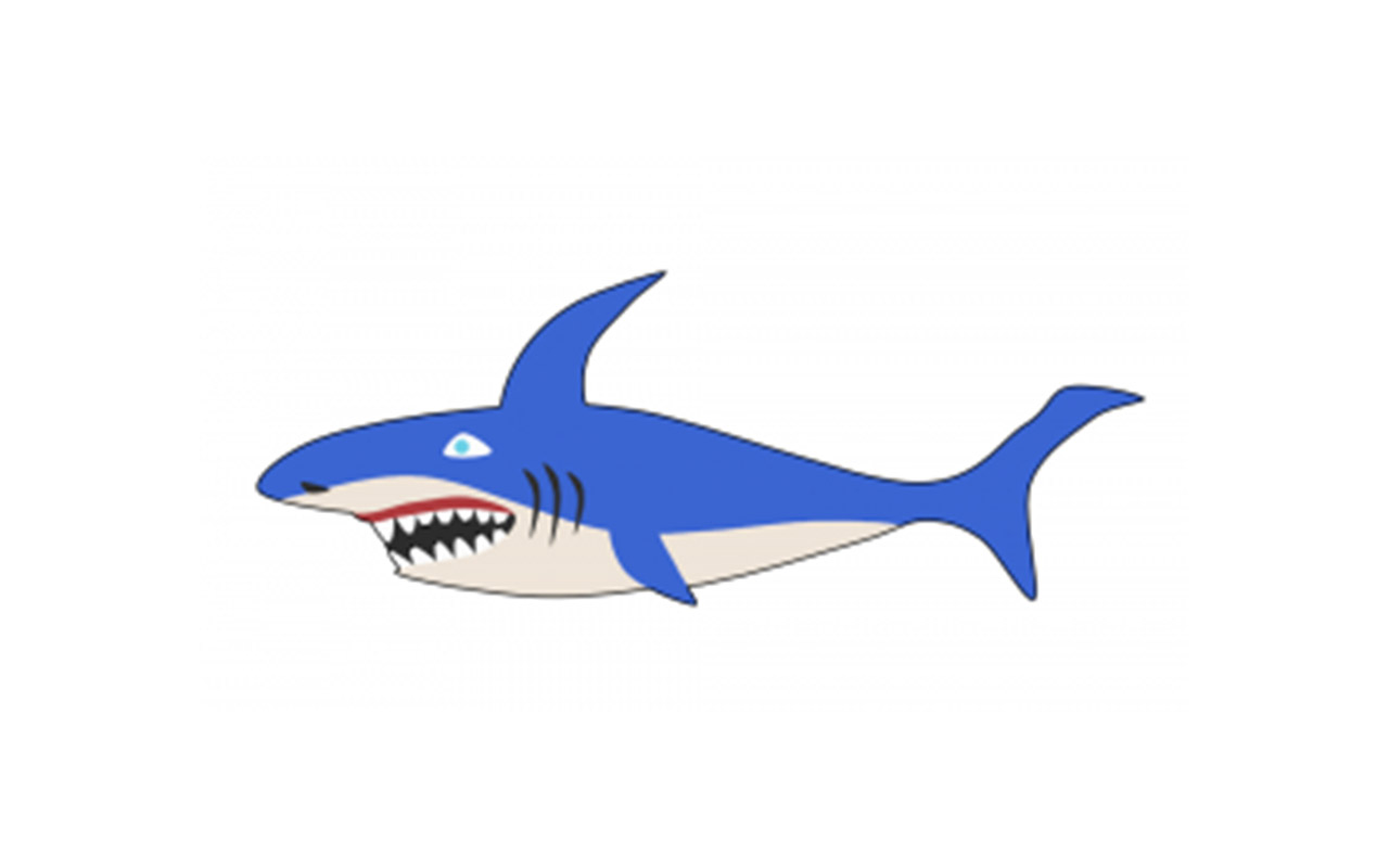 SHARK 2D - Sea