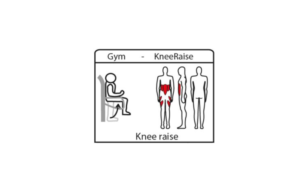 KNEE RAISE - Fitness da esterno - Fitness da esterno