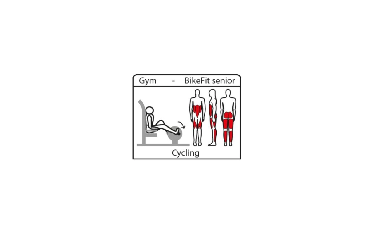 BIKEFIT SENIOR - Fitness in legno di robinia - Fitness in legno di robinia